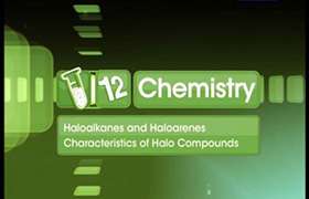 Different forms of Halo compounds 