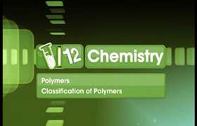Polymer classification and related concepts 