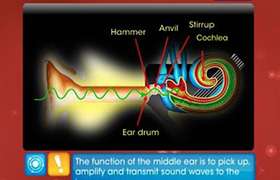 Propagation of Sound Waves 
