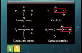 Physical and Chemical Properties of Amine 