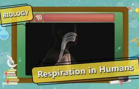 videoimg/thumbnails/Respiration_in_Humans_SEG_01_New.jpg