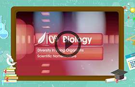 videoimg/thumbnails/Scientific_Nomenclature_ENG_SEG_01.jpg