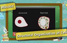 videoimg/thumbnails/Structural_Organization_of_Cell_ENG_SEG_01_New.jpg