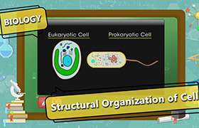 Cell - The Fundamental Unit of Life 