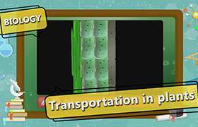 Transport in Organisms 