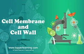 Cell Membrane and Cell Wall 
