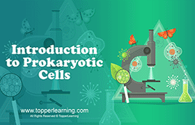 Introduction to Prokaryotic Cells 
