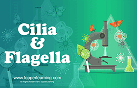 Cilia and Flagella 