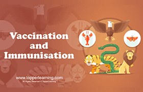 Vaccination and Immunisation 