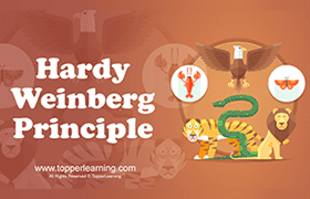 Hardy–Weinberg Principle 