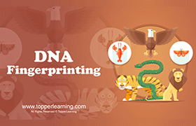 DNA Fingerprinting 
