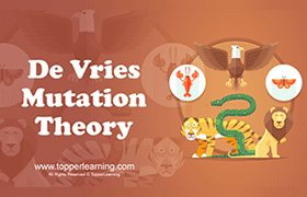 De Vries’ Mutation Theory 