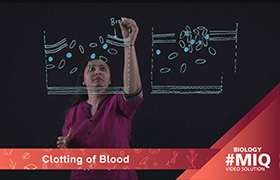 Clotting of blood 