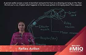 Reflex Action 