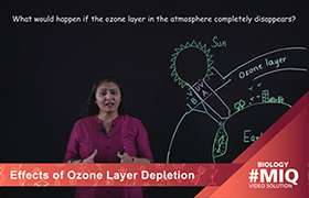 Effects of Ozone Layer Depletion 