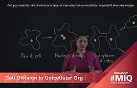 Cell division in unicellular organisms ...