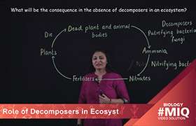 Role of decomposers in ecosystem 