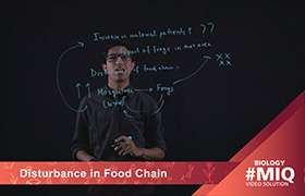 Disturbance in food chain 