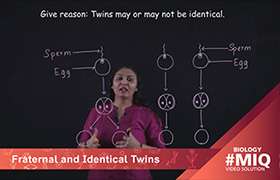 Fraternal and Identical twins 