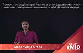 Monohybrid Cross 
