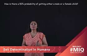 Sex Determination in Human Beings 