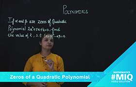 Zeroes of a Quadratic Polynomial 