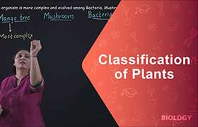 Classification of Plants 