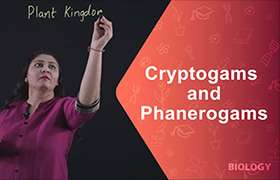Cryptogams and Phanerogams 