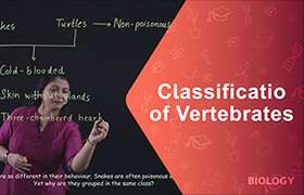 Classification of Vertebrates 