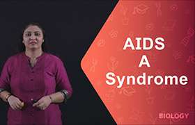 AIDS - A Syndrome 