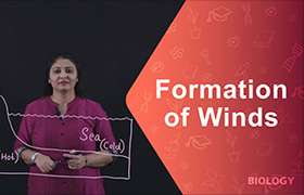 Formation of Winds 