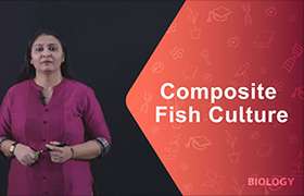 Composite Fish Culture 