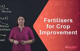 Fertilisers for Crop Improvement 