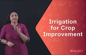 Irrigation for Crop Improvement 
