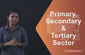 Primary, Secondary and Tertiary Sector ...