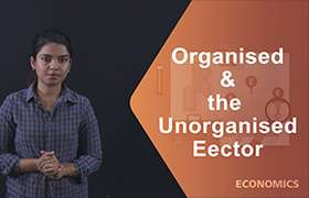 organised and the unorganised sector 