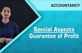 Special Aspects: Guarantee of Profit 