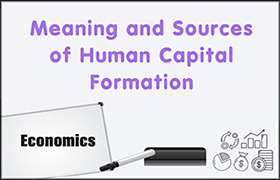 Meaning and Sources of Human Capital Formation 