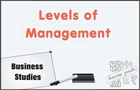 Levels of Management 