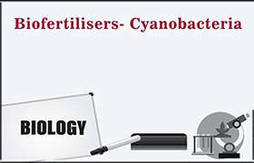 Biofertilisers- Cyanobacteria 
