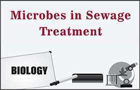 Microbes in Sewage Treatment 