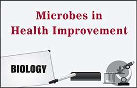Microbes in Health Improvement 