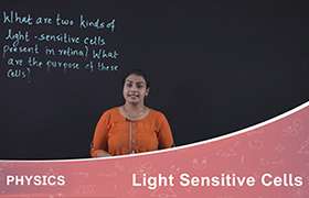 Light senistive cells 