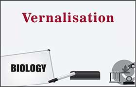 Vernalisation 