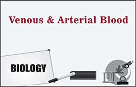 Venous and Arterial Blood 
