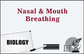 Nasal and Mouth Breathing 