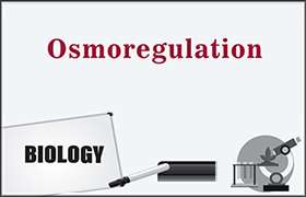 Osmoregulation 