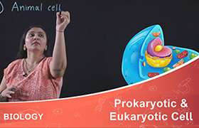 Prokaryotic and Eukaryotic Cell 