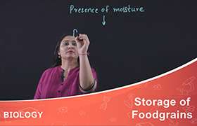 Storage of Foodgrains 
