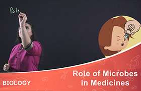 Role of Microbes in Medicines 